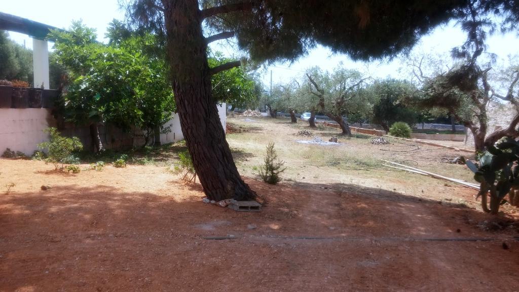 Villa "Posto Cantoro" Marina Di Pescoluse Pokój zdjęcie
