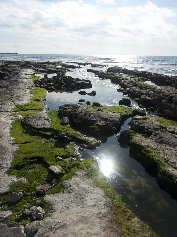 Villa "Posto Cantoro" Marina Di Pescoluse Zewnętrze zdjęcie