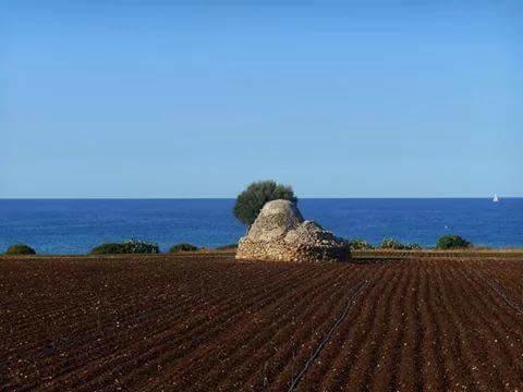 Villa "Posto Cantoro" Marina Di Pescoluse Pokój zdjęcie